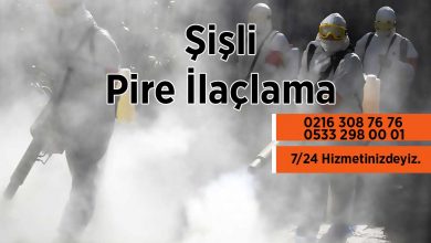 Şişli Pire İlaçlama Firması